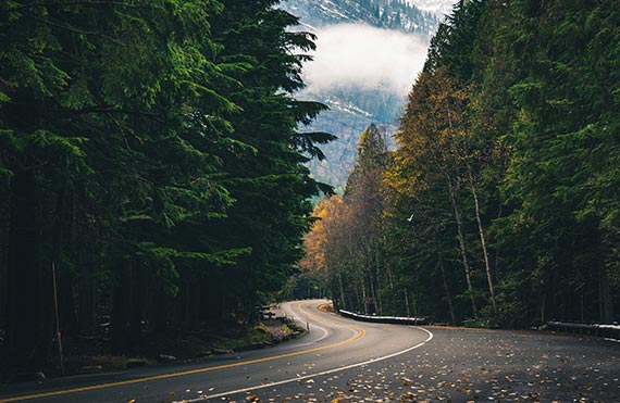 images/imagehover/image05.jpg